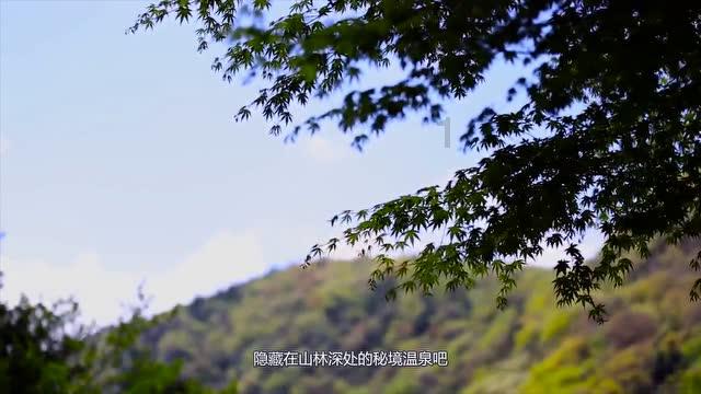 秘宝猎人:王牌猎手