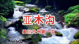 避难所逃生
