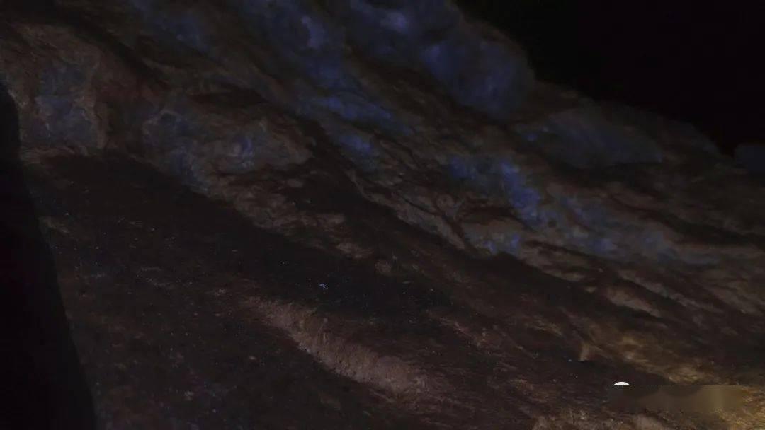 糖尿病管理新策略:智能陪伴系统助力健康生活