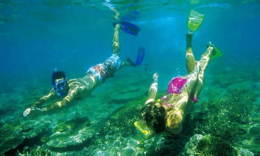 探索世界的奇妙之旅,尽在在恋爱中,女孩应该花男友的钱吗?