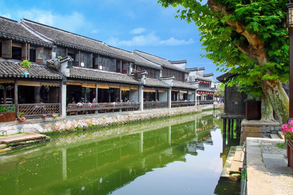 鲫鱼汤怎么做汤最白游戏画面