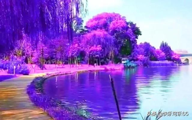 《天天向上》收视率天天下降，是观众视觉疲劳了吗？游戏画面